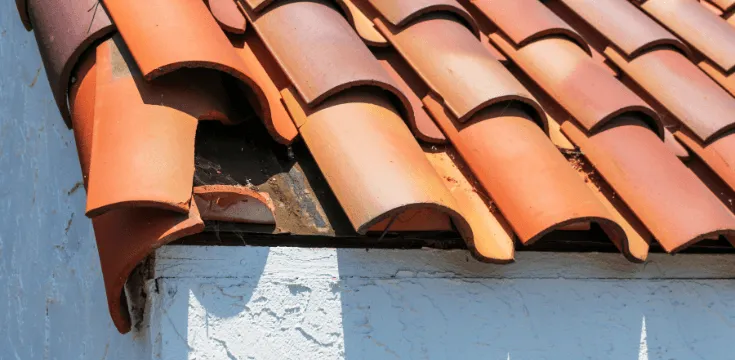 Détection de fuite de toiture à Cahors